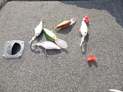 truth news ブログ写真 2013/11/06