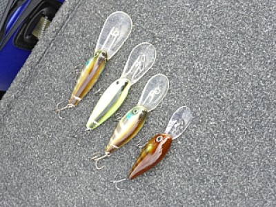 truth news ブログ写真 2013/11/06