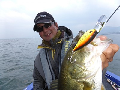 truth news ブログ写真 2013/11/06