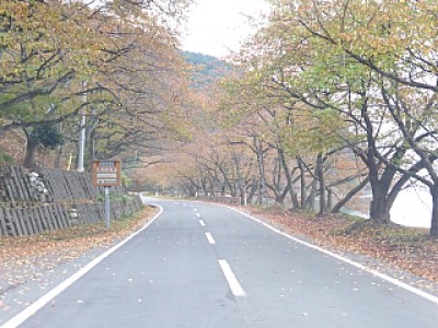 truth news ブログ写真 2013/11/07