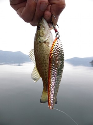 truth news ブログ写真 2013/11/07