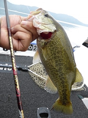 truth news ブログ写真 2013/11/07