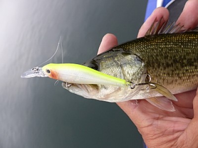 truth news ブログ写真 2013/11/07