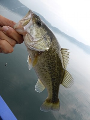 truth news ブログ写真 2013/11/07