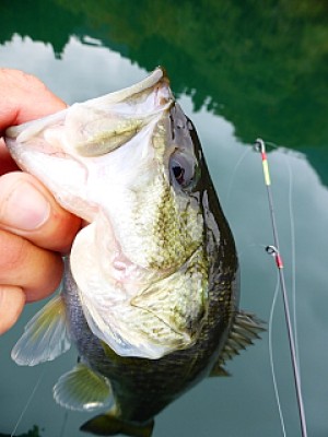 truth news ブログ写真 2013/11/07