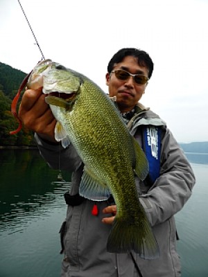 truth news ブログ写真 2013/11/07