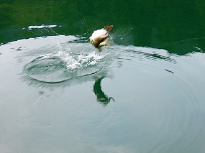 truth news ブログ写真 2013/11/07