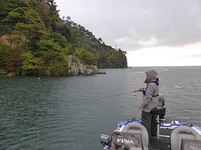 truth news ブログ写真 2013/11/07