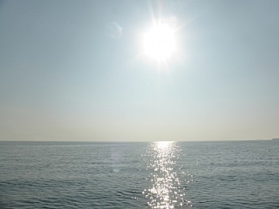 truth news ブログ写真 2013/11/08