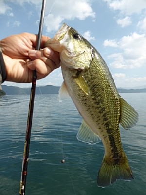 truth news ブログ写真 2013/11/08