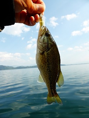 truth news ブログ写真 2013/11/08