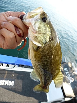 truth news ブログ写真 2013/11/08