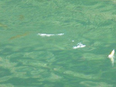 truth news ブログ写真 2013/11/10