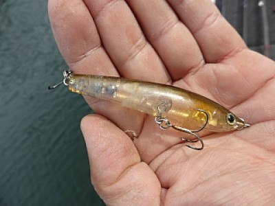 truth news ブログ写真 2013/11/10