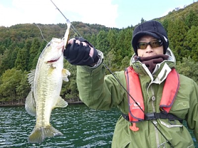 truth news ブログ写真 2013/11/13