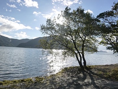 truth news ブログ写真 2013/11/13