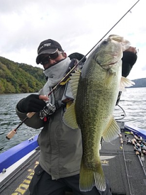 truth news ブログ写真 2013/11/13