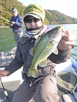 truth news ブログ写真 2013/11/14