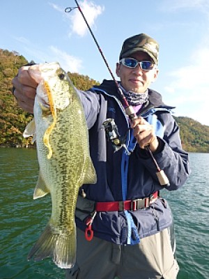 truth news ブログ写真 2013/11/14