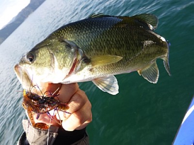 truth news ブログ写真 2013/11/14