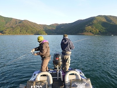 truth news ブログ写真 2013/11/14