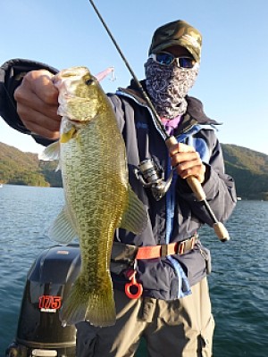 truth news ブログ写真 2013/11/14