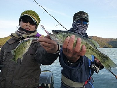 truth news ブログ写真 2013/11/14