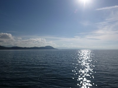 truth news ブログ写真 2013/11/14