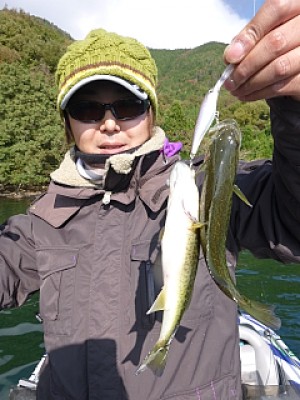 truth news ブログ写真 2013/11/14