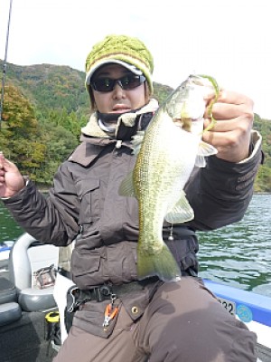 truth news ブログ写真 2013/11/14