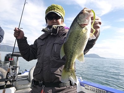 truth news ブログ写真 2013/11/14