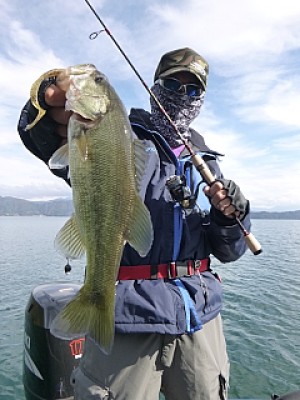 truth news ブログ写真 2013/11/14