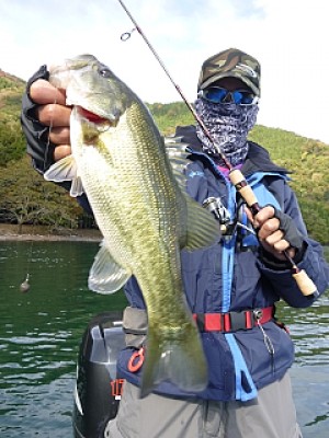 truth news ブログ写真 2013/11/14