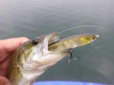 truth news ブログ写真 2013/11/15