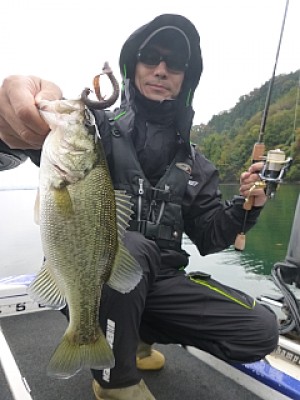 truth news ブログ写真 2013/11/15