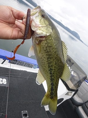 truth news ブログ写真 2013/11/15