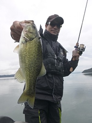 truth news ブログ写真 2013/11/15