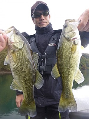 truth news ブログ写真 2013/11/15