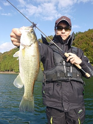 truth news ブログ写真 2013/11/15