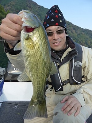 truth news ブログ写真 2013/11/16