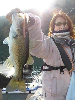 truth news ブログ写真 2013/11/16