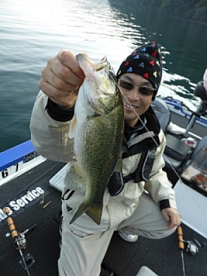 truth news ブログ写真 2013/11/16