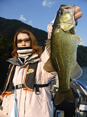 truth news ブログ写真 2013/11/16