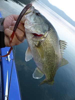 truth news ブログ写真 2013/11/16