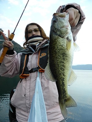 truth news ブログ写真 2013/11/16