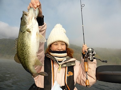 truth news ブログ写真 2013/11/16