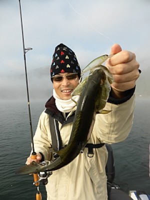 truth news ブログ写真 2013/11/16