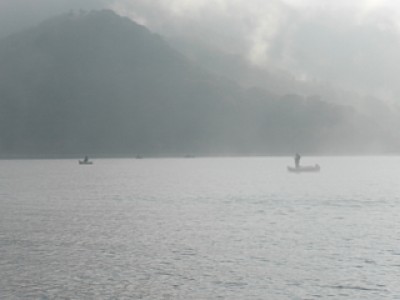 truth news ブログ写真 2013/11/16