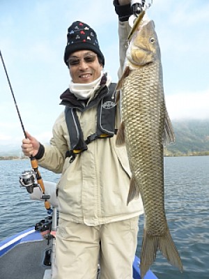 truth news ブログ写真 2013/11/16