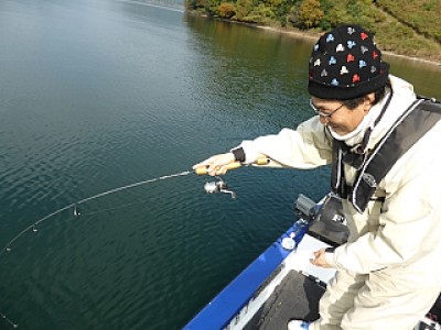 truth news ブログ写真 2013/11/16